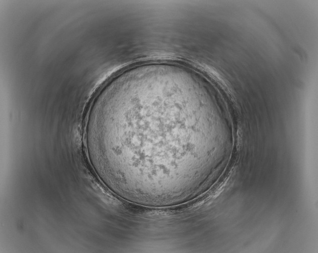 X0000112091212200908181257