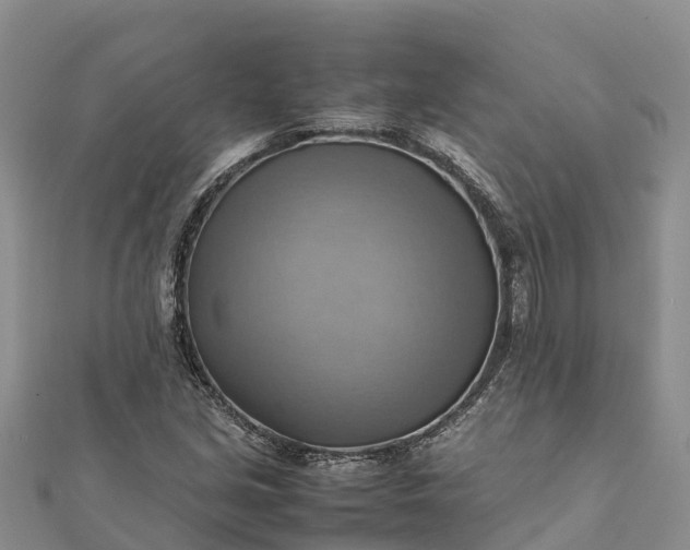 X0000112091213200908181257