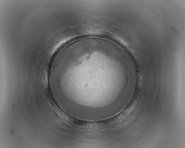 X0000112091214200908181257