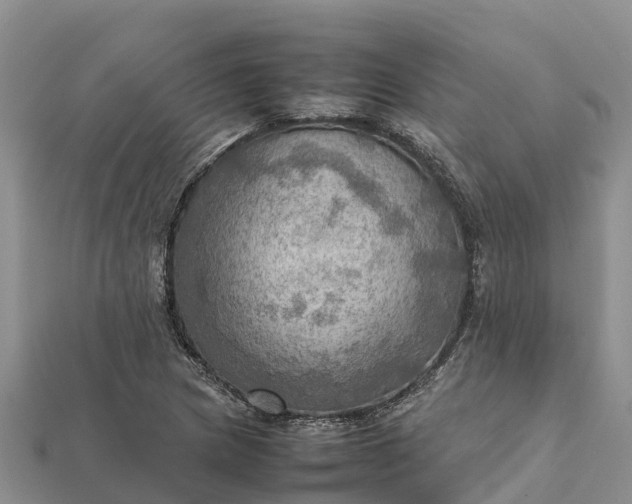 X0000112091217200908181257