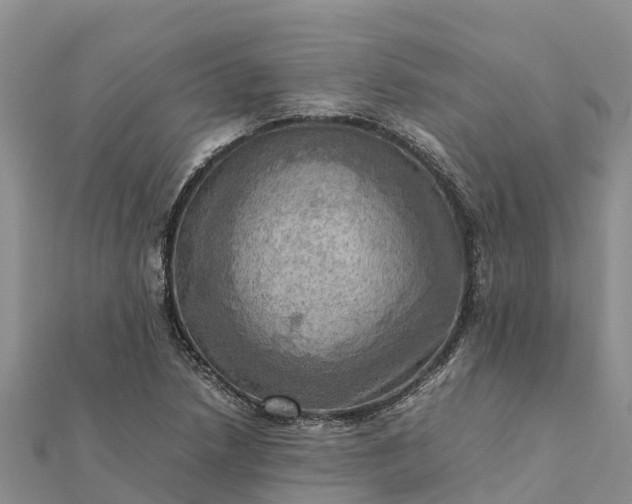 X0000112091218200908181257