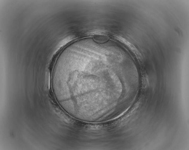 X0000112091219200908181257