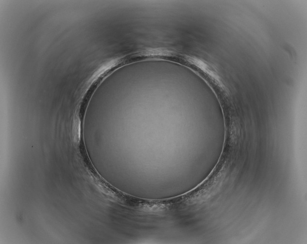 X0000112091221200908181257