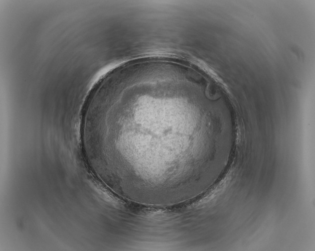 X0000112091222200908181257