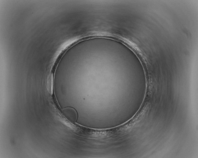 X0000112091223200908181257