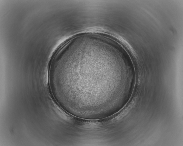 X0000112091224200908181257