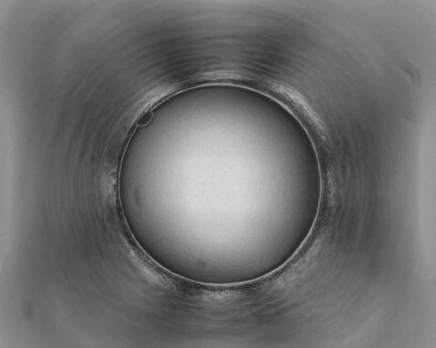 X0000112091225200908181257