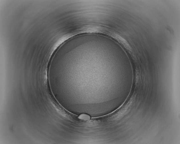 X0000112091226200908181257