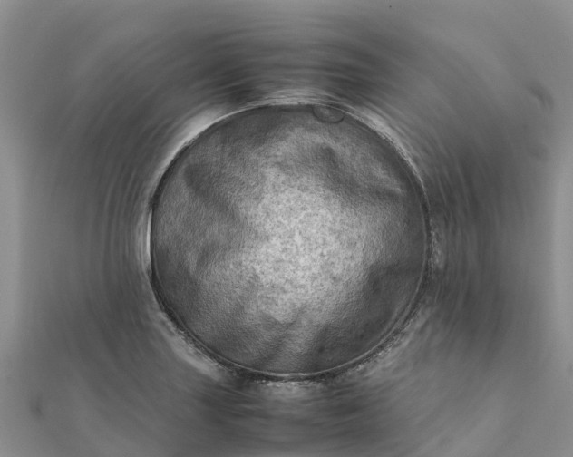 X0000112091227200908181257