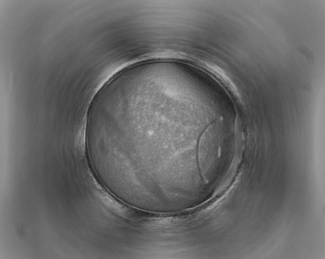 X0000112091228200908181257