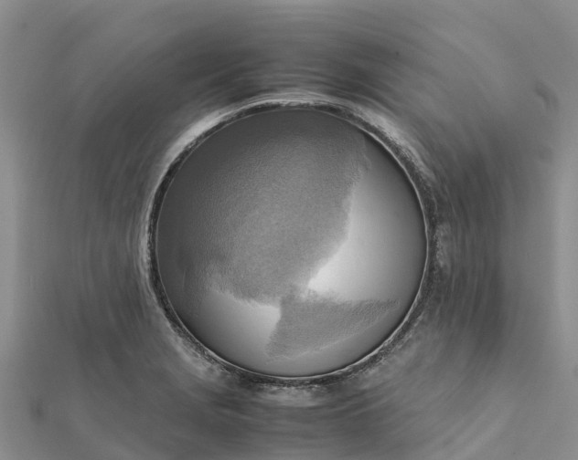 X0000112091229200908181257