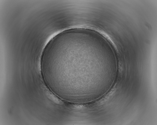 X0000112091230200908181257