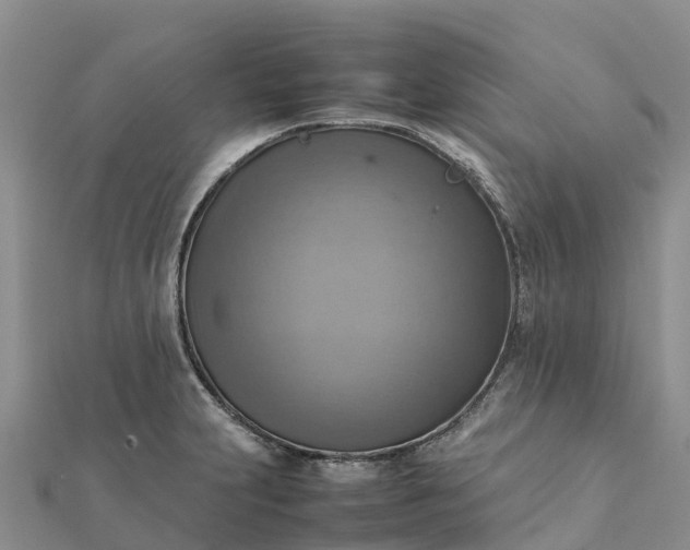 X0000112091231200908181257