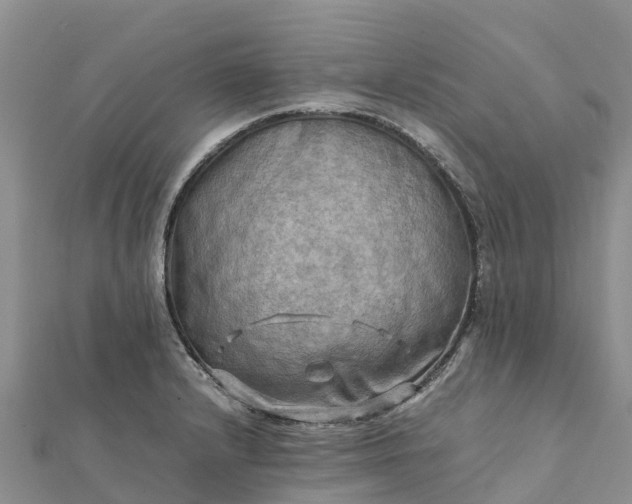 X0000112091232200908181257