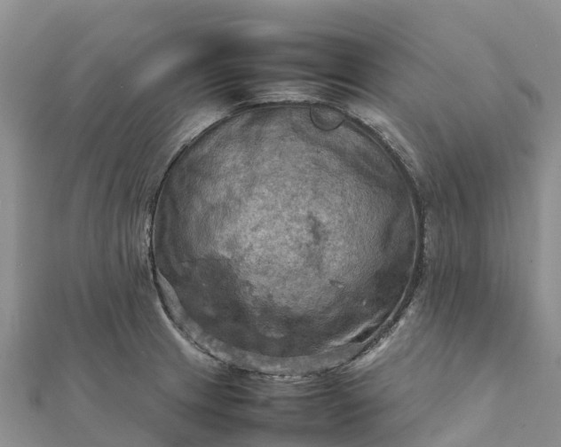 X0000112091233200908181257