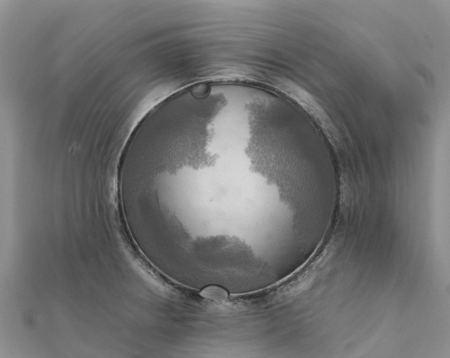 X0000112091234200908181257