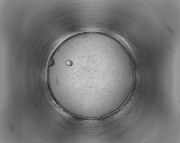 X0000112091236200908181257