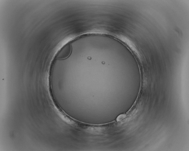 X0000112091237200908181257