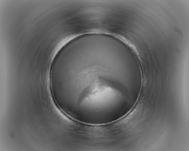 X0000112091239200908181257