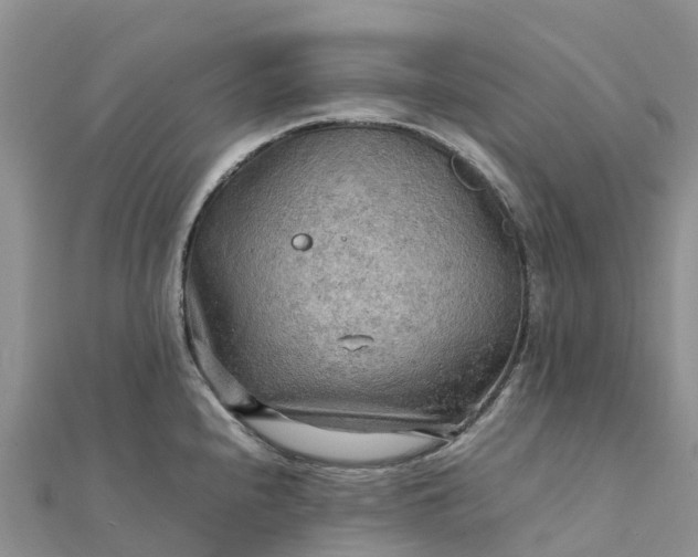 X0000112091240200908181257