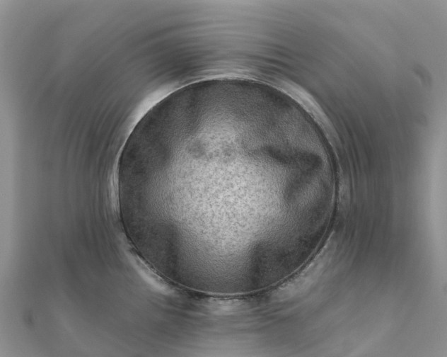 X0000112091242200908181257