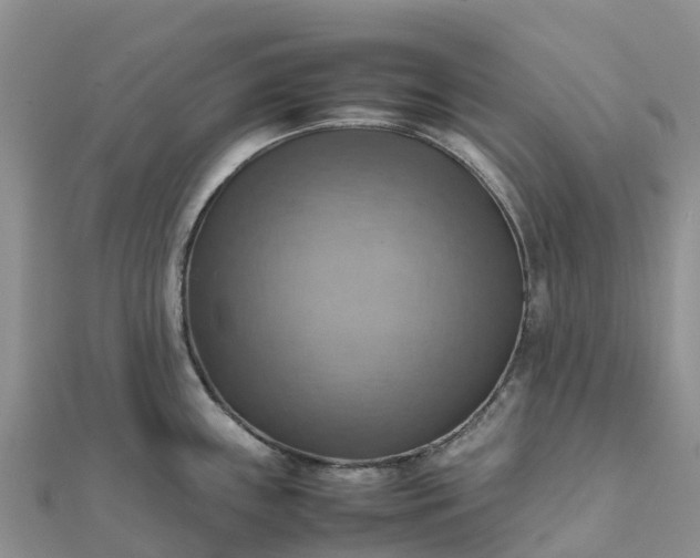 X0000112091243200908181257