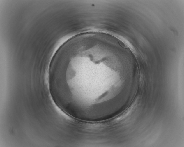 X0000112091247200908181257