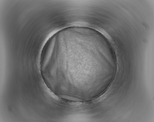 X0000112091248200908181257