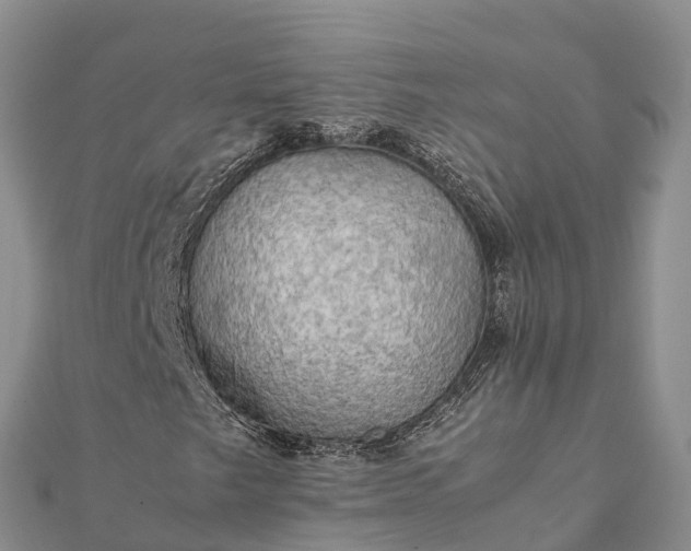 X0000112091249200908181256