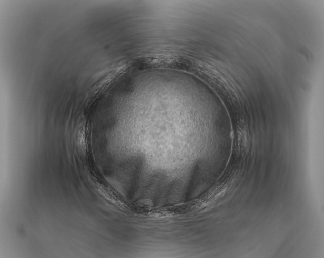 X0000112091250200908181256