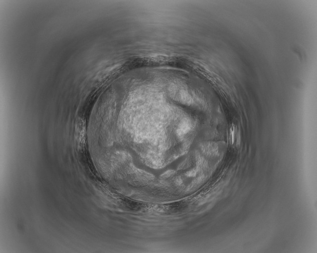 X0000112091251200908181256