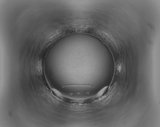 X0000112091252200908181256