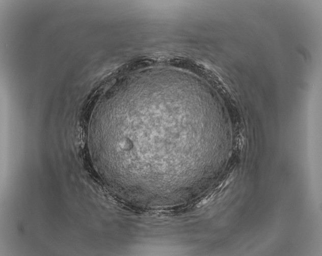 X0000112091253200908181256