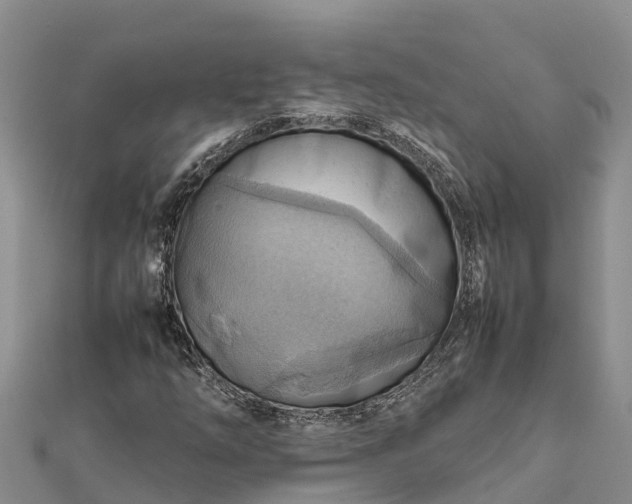 X0000112091254200908181256