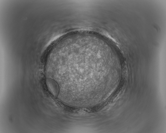 X0000112091255200908181256