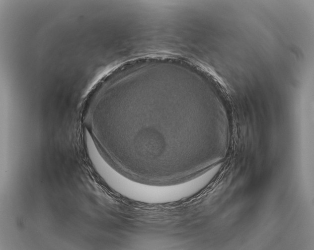 X0000112091256200908181256