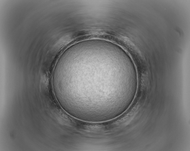 X0000112091257200908181256