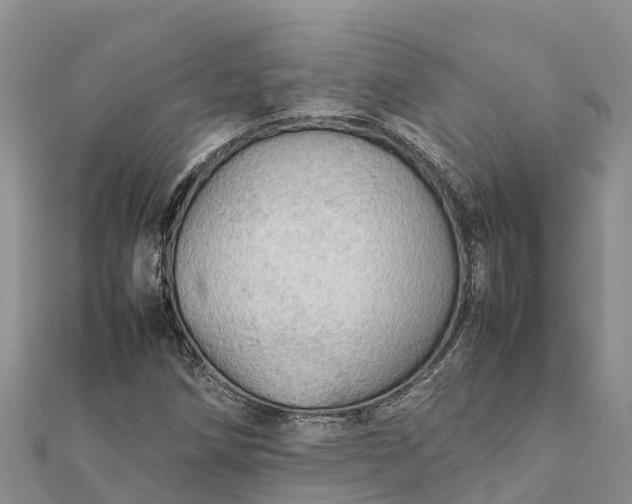 X0000112091258200908181256