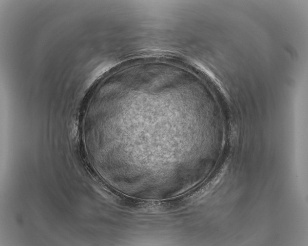 X0000112091259200908181256