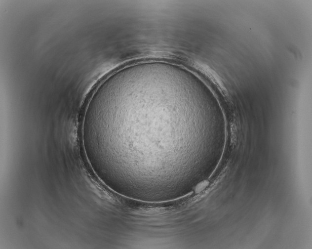 X0000112091260200908181256