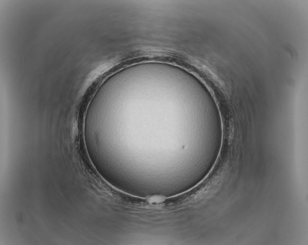 X0000112091261200908181256