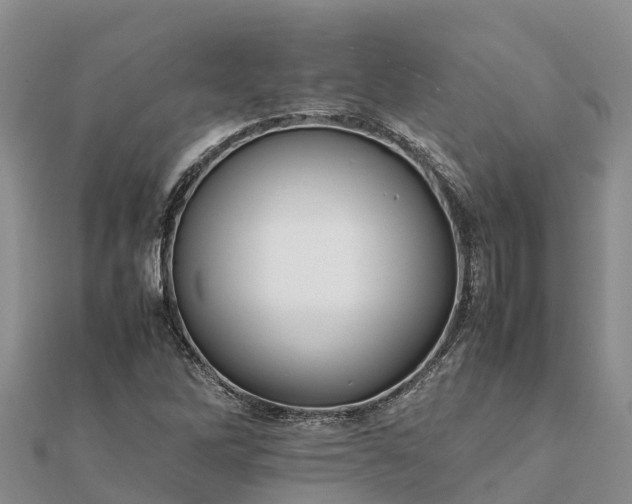 X0000112091262200908181256