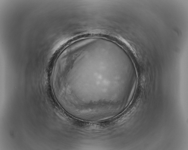 X0000112091263200908181256