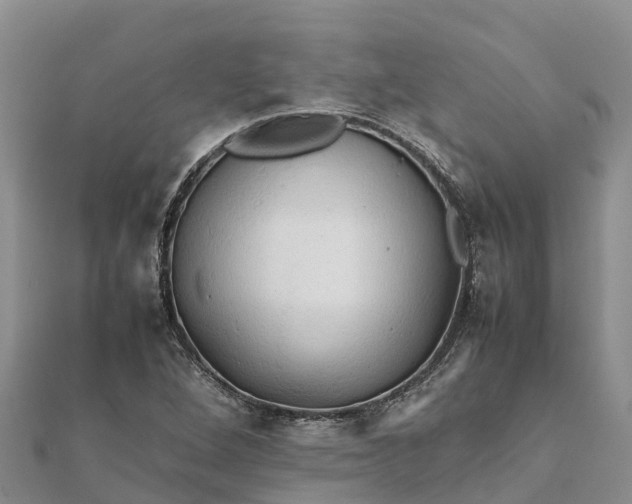 X0000112091264200908181256