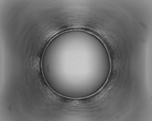 X0000112091265200908181256