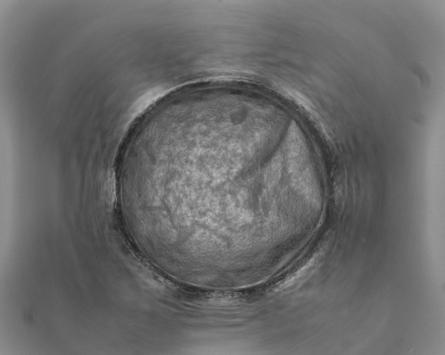 X0000112091267200908181256