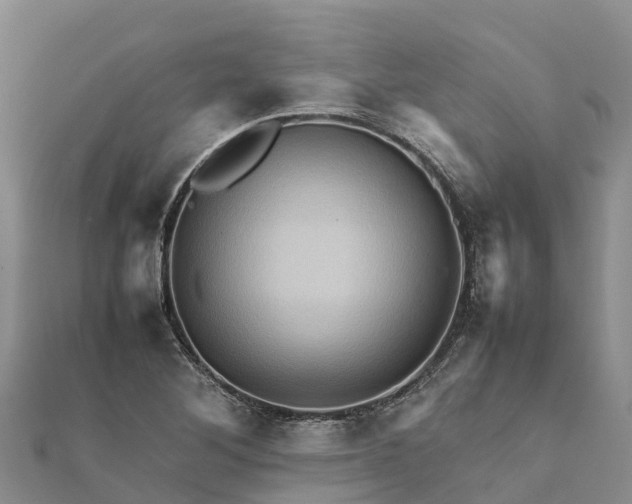 X0000112091268200908181256