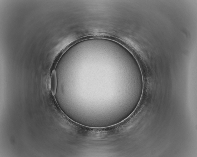 X0000112091269200908181256