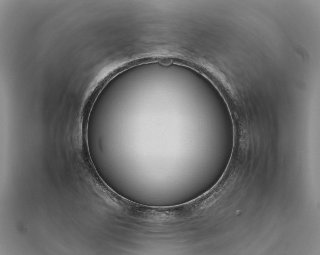 X0000112091270200908181256