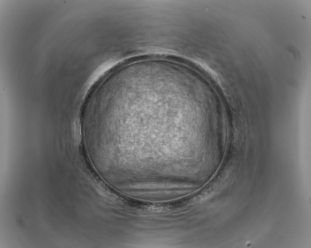 X0000112091271200908181256